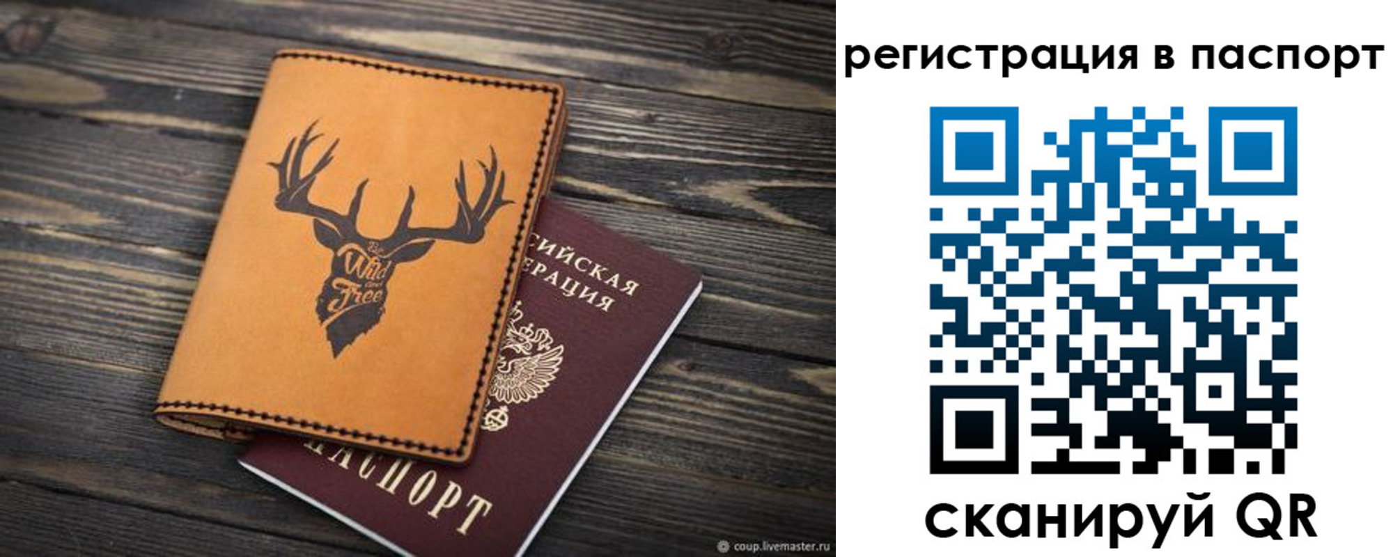 прописка паспорт в Балтийске