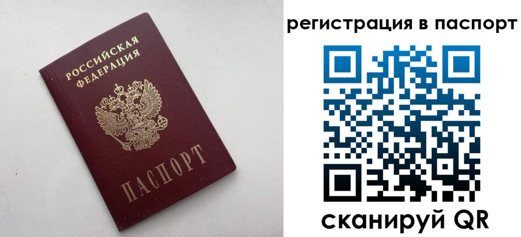 временная регистрация 2025 в Балтийске